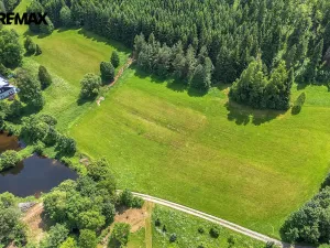 Prodej pozemku pro bydlení, Červená Voda, 3948 m2
