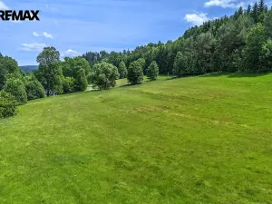 Prodej pozemku pro bydlení, Červená Voda, 3948 m2