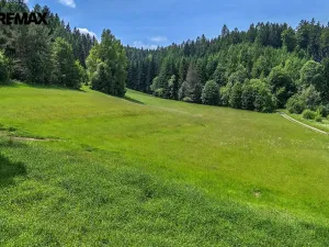 Prodej pozemku pro bydlení, Červená Voda, 4322 m2