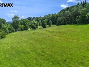 Prodej pozemku pro bydlení, Červená Voda, 4045 m2