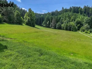 Prodej pozemku pro bydlení, Červená Voda, 4045 m2