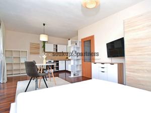 Pronájem bytu 1+kk, Praha - Libeň, Davídkova, 34 m2