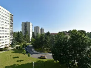 Pronájem bytu 2+1, Přerov, Velká Dlážka, 49 m2