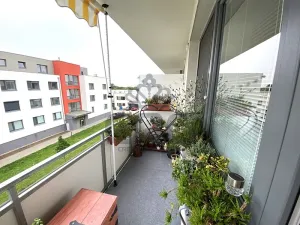 Pronájem bytu 1+kk, Slavkov u Brna, 29 m2