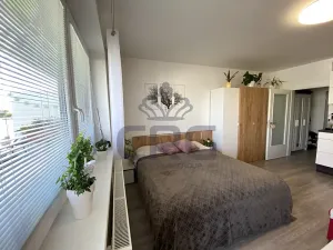 Pronájem bytu 1+kk, Slavkov u Brna, 29 m2