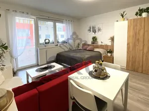 Pronájem bytu 1+kk, Slavkov u Brna, 29 m2