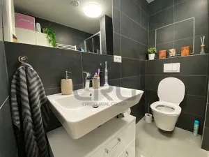 Pronájem bytu 1+kk, Slavkov u Brna, 29 m2