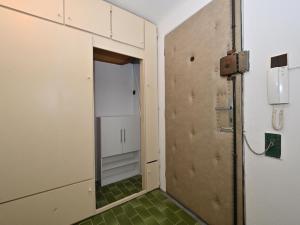 Pronájem bytu 3+kk, Praha - Karlín, Thámova, 65 m2