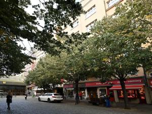 Pronájem bytu 3+kk, Praha - Karlín, Thámova, 65 m2