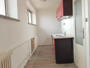 Pronájem bytu 1+1, Kozojedy, 48 m2