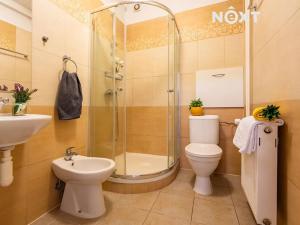 Prodej bytu 2+kk, České Budějovice, Riegrova, 43 m2
