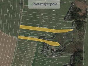 Prodej louky, Ostrov u Macochy, 5599 m2