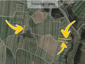 Prodej louky, Ostrov u Macochy, 5599 m2