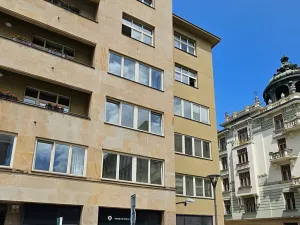 Pronájem obchodního prostoru, Brno, Dominikánské náměstí, 47 m2