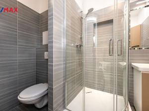 Pronájem bytu 2+kk, Písek - Hradiště, K Háječku, 43 m2