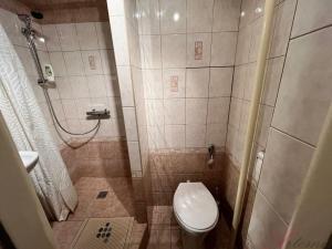 Prodej bytu 1+kk, Ostrava - Poruba, Aleše Hrdličky, 26 m2