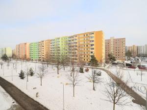 Prodej bytu 1+1, České Budějovice - České Budějovice 2, V. Volfa, 41 m2