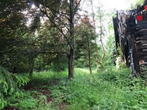 Prodej rodinného domu, Nový Bor - Arnultovice, Havlíčkova, 138 m2