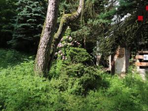 Prodej rodinného domu, Nový Bor - Arnultovice, Havlíčkova, 138 m2