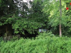 Prodej rodinného domu, Nový Bor - Arnultovice, Havlíčkova, 138 m2