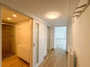 Pronájem bytu 2+kk, České Budějovice, Horymírova, 64 m2