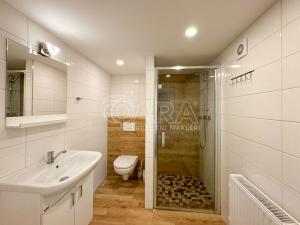 Pronájem bytu 2+kk, České Budějovice, Horymírova, 64 m2
