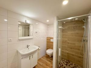 Pronájem bytu 2+kk, České Budějovice, Horymírova, 64 m2