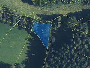 Prodej louky, Dubenec, 145881 m2
