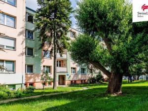 Prodej bytu 2+1, Hustopeče, Na Sídlišti, 57 m2
