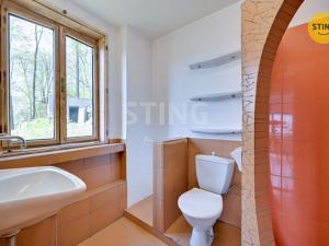 Prodej rodinného domu, Moravský Beroun, Horní, 173 m2