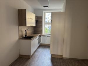 Prodej bytu 1+kk, Praha - Nusle, Družstevní, 38 m2