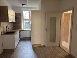 Prodej bytu 1+kk, Praha - Nusle, Družstevní, 38 m2