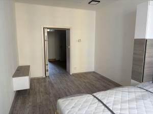 Prodej bytu 1+kk, Praha - Nusle, Družstevní, 38 m2