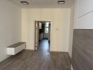 Prodej bytu 1+kk, Praha - Nusle, Družstevní, 38 m2