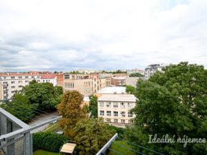 Pronájem bytu 1+1, Brno, třída Kpt. Jaroše, 42 m2