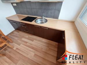 Pronájem bytu 1+1, Ostrava, Zelená, 54 m2