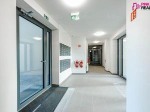 Pronájem bytu 1+kk, Kostelec nad Orlicí, K Tabulkám, 27 m2