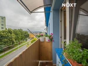 Prodej bytu 3+1, Zábřeh, Československé armády, 60 m2