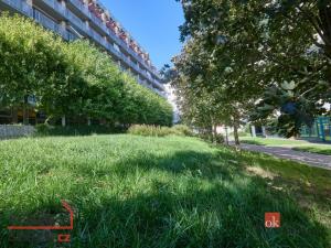 Prodej bytu 2+kk, Praha - Vysočany, Paříkova, 50 m2