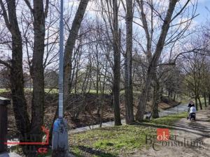 Prodej bytu 2+kk, Praha - Vysočany, Paříkova, 50 m2