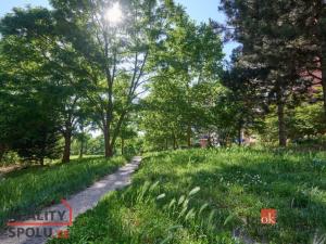Prodej bytu 2+kk, Praha - Vysočany, Paříkova, 50 m2