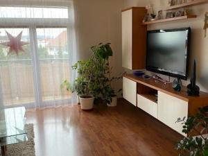 Pronájem bytu 3+kk, Olomouc, Mošnerova, 112 m2