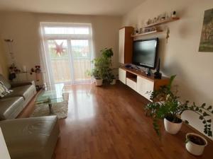 Pronájem bytu 3+kk, Olomouc, Mošnerova, 112 m2