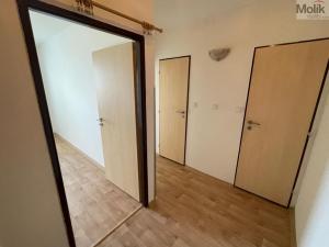 Pronájem bytu 2+1, Most, K. J. Erbena, 48 m2