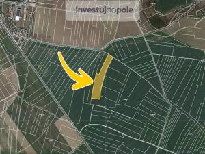Prodej pole, Chrast - Podlažice, 15562 m2