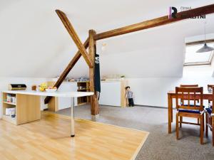 Prodej obchodního prostoru, Litvínov - Chudeřín, Havířská, 290 m2