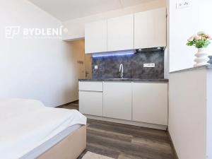 Prodej bytu 1+kk, Praha - Střížkov, Děčínská, 23 m2