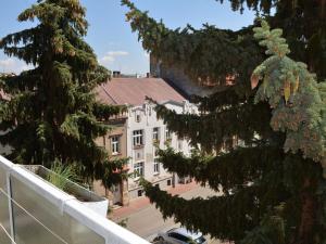 Pronájem bytu 2+kk, České Budějovice - České Budějovice 3, Puklicova, 36 m2