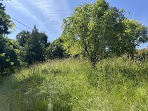 Prodej rodinného domu, Dubá, 250 m2