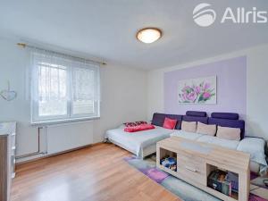 Prodej rodinného domu, Horní Loučky, 370 m2